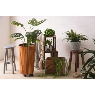 プランター 植木鉢 グリーンベース 5号用 サムネイル画像1