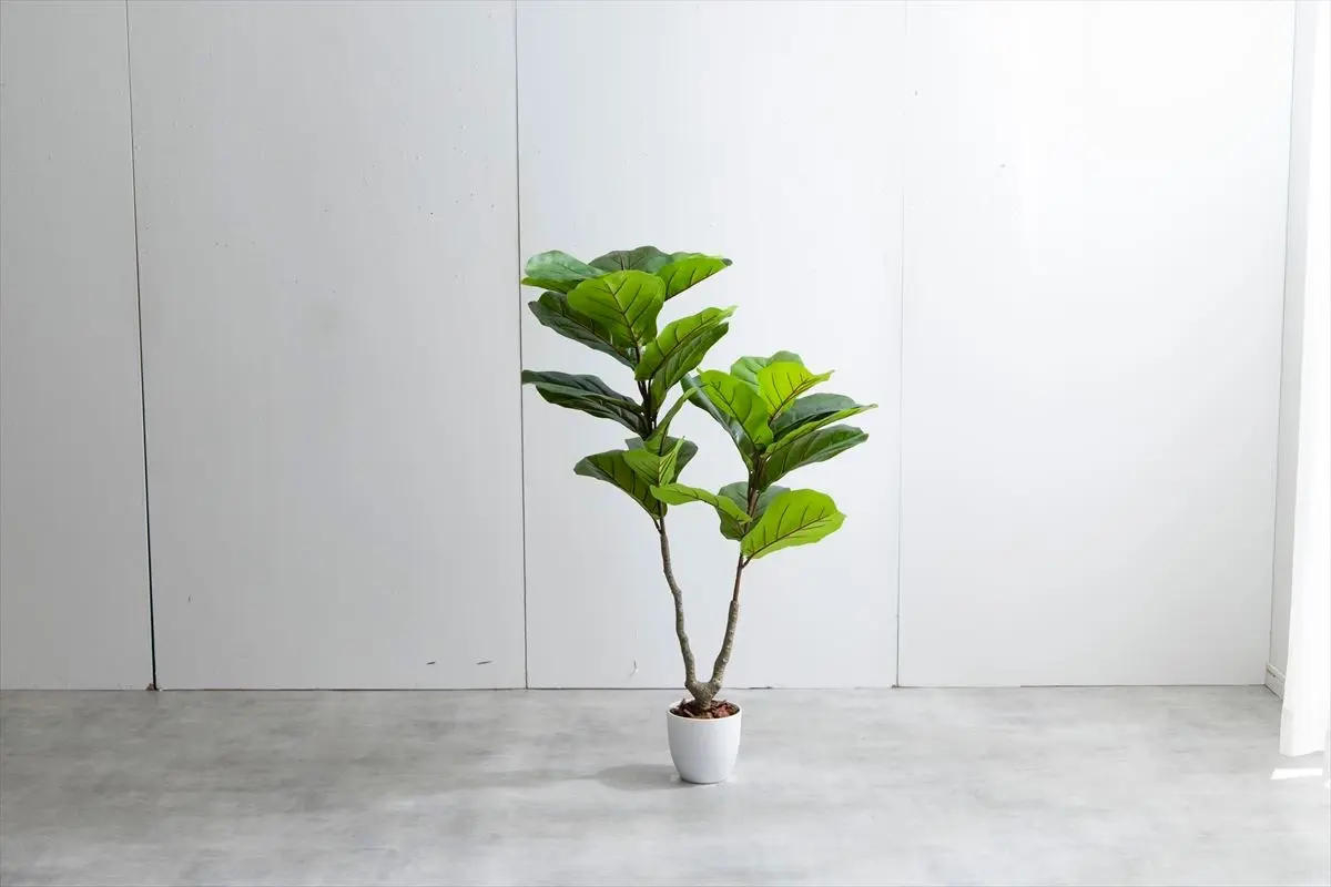 【高さ120cm】Nature 光触媒人工観葉植物　リラータ 画像4