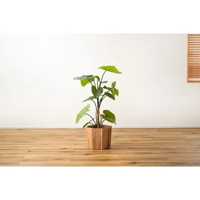 ウッドプランターS サムネイル画像19