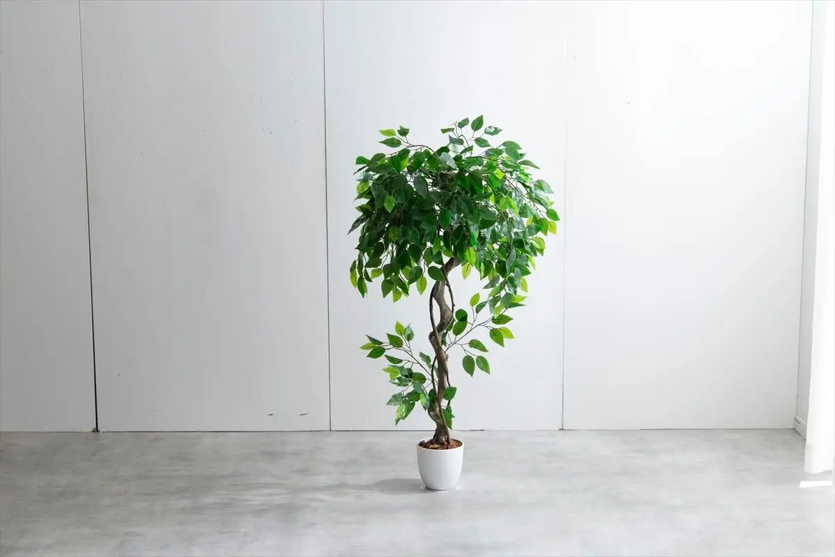 【高さ120cm】Nature 光触媒人工観葉植物　ベンジャミン 画像2
