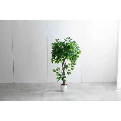 【高さ120cm】Nature 光触媒人工観葉植物　ベンジャミン サムネイル画像2